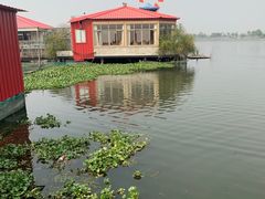 -秋月舫(阳澄湖湖滨中路店)