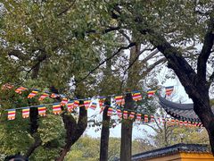 -西园戒幢律寺