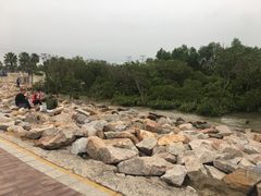 -宝安西湾红树林湿地公园