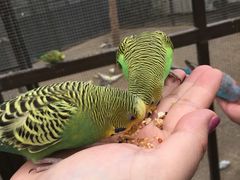 -南宫五洲植物乐园