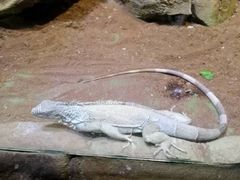 -华夏文旅西安度假区