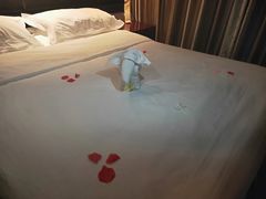 -大同王府至尊酒店