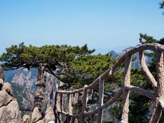 -黄山风景区