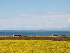 -青海湖国家重点风景名胜区