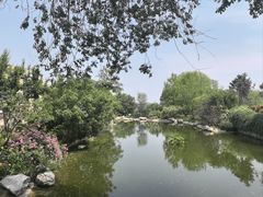 -蓝色港湾停车场