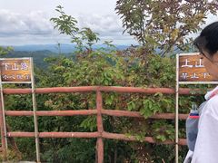 -天女山森林公园