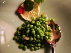 -西郊5号·Maggie 5
