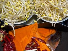 -阳阳老火锅(小南门店)