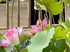 -田园印象·成都土菜院子(华阳店)