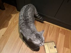 -有才叔的小馆(招商依云曲江店)