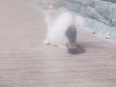 -龙达温泉生态城