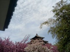 -西安青龙寺遗址景区
