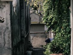 -东钱湖旅游度假区