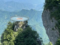 -牛背梁国家森林公园