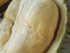 金腰榴莲-PAGODA百果园(台柳路凯德广场店)