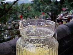 -老幺泉水鸡