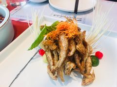 初恋小刀鱼-赵小姐丨新中餐(曲江店)