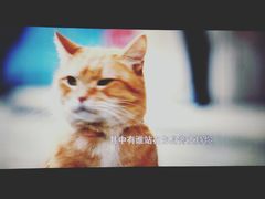 -博纳国际影城IMAX(中央大道店)