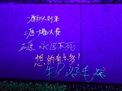-莫子山公园