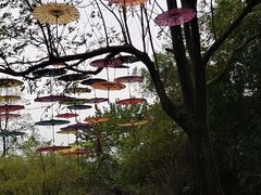 -常德桃花源景区
