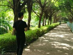 -广东茂名森林公园