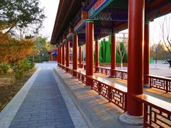 -莲花池公园