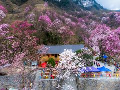 -九皇山景区