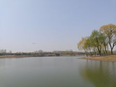 -东郊湿地公园