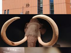 -大庆市博物馆