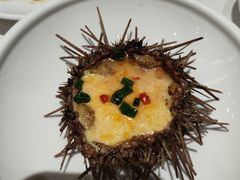 海胆蒸蛋-双合园·海鲜水饺青岛菜(九水东路店)