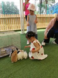 -萌宠亲子动物乐园(槐房万达店)