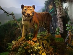 -陕西自然博物馆