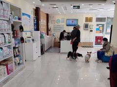 -美联众合动物医院·24h京西诊疗中心