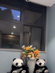 -云南吴氏嘉美医疗美容医院