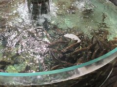 -传统菜农庄(皇姑路店)