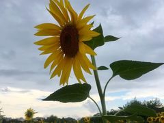 -贵阳市花溪国家城市湿地公园