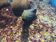 -秦皇岛新澳海底世界