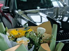 -上海德星奔驰(江杨南路店)