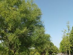 -汉长安城未央宫国家考古遗址公园