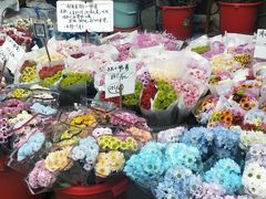 -循礼门鲜花花市(武汉循礼门店)