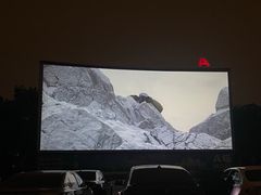 -枫花园汽车电影院(朝阳公园店)