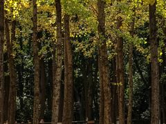 -艾溪湖湿地公园