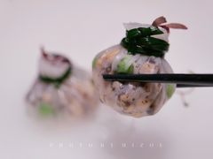 -觀芷隐轩
