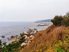 -养马岛旅游度假区