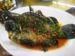 清蒸石斑鱼-明记海鲜大排档(巽寮湾店)