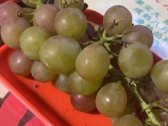 -马陆小张葡萄园农家乐