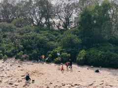 -宝安西湾红树林湿地公园