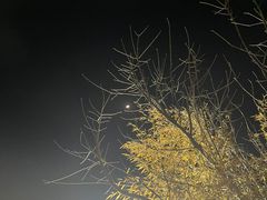 -大连金石滩绿发温泉假日酒店