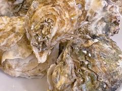 -禾斗海鲜自助(市南银座店)