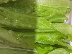 -九府羊鲜羊火锅·烧烤(任丘东风美食街店)